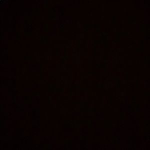 Meet your Posher, Nicholas